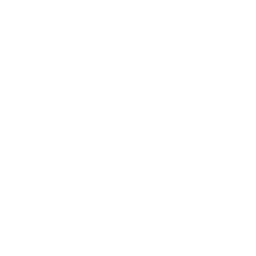 Pulse settings icon